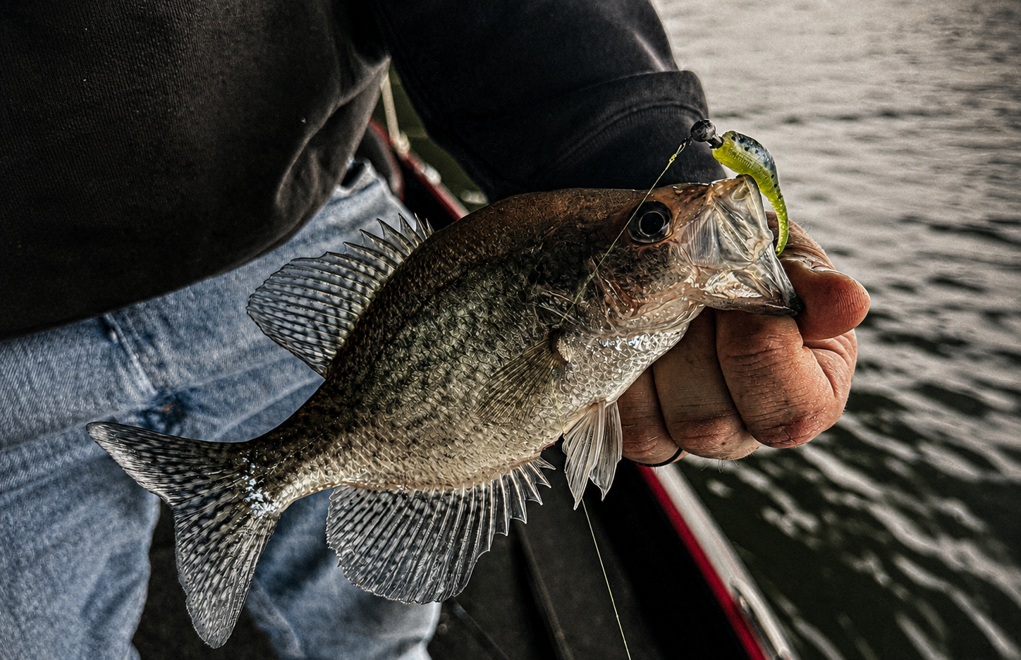 Crappie